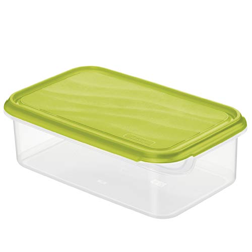 Rotho Rondo Boîte pour aliments frais 1,5 l avec couvercle, Plastique (PP) sans BPA,...