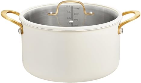 BEZIA 6 QT Stainless Steel Stockpot with Lid, Casserole with Lid,...