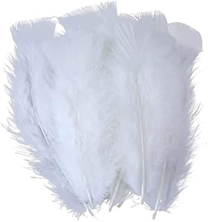 HEIGOO 100 PCS Goose Feathers,10-15cm Soft Natural Goose Feathers for Crafts,Use for Make DIY Crafts,Wall Decorations,Halloween Masks, Dream Catchers,Lighting,Bohemian Feather Garlands,White