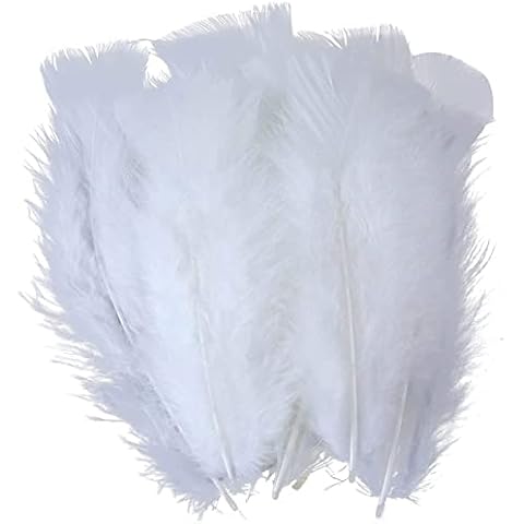 HEIGOO 100 PCS Goose Feathers,10-15cm Soft Natural Goose Feathers for Crafts,Use for Make DIY Crafts,Wall Decorations,Halloween Masks, Dream Catchers,Lighting,Bohemian Feather Garlands,White Cover