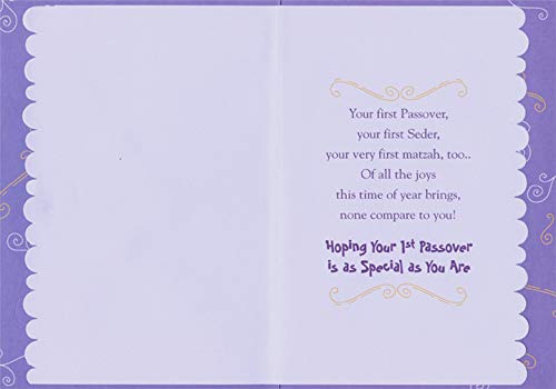 Designer Greetings Cute Seder Plate : Baby's 1St / First Passover Card #TOP1