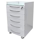 WYDDDARY 5 Drawers Dental Special Storage Cabinet Dental Cabinet Mobile Cart Stainless Steel Moving Side...