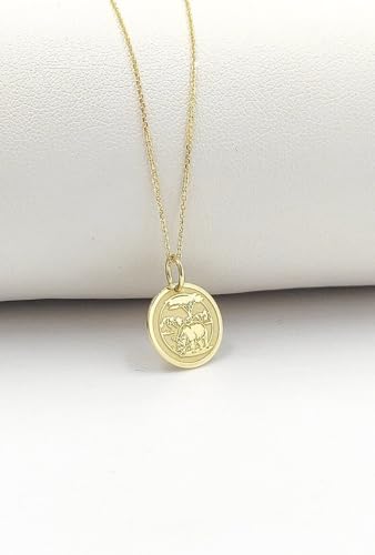 Collier rhinocéros pendentif argent 925 chaîne 45 cm nature