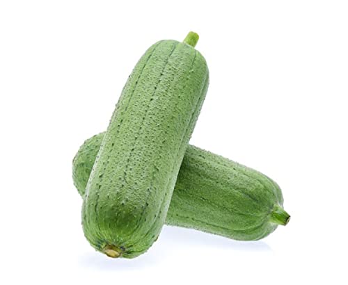 20 Luffa Gourd Seeds, Luffa Sponge Seeds, Loofah, Vegetable Sponge Seeds - 20 Seeds (Luffa Cylindrica/Aegyptiaca/Cucurbita Luffa) - Pack Of 20 Rare And Viable Seeds - Qo Seeds #TOP6