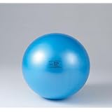 ギムニクボディボール９５(ＬＰ９０９５) ブルー