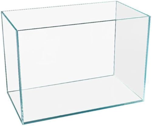 KX̔MȂA^ApAƒpAgXP[vGRW[Iȋ