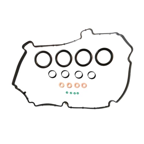 Riloer Injektor-Dichtungssatz, Kraftstoffeinspritzdüsen-Dichtungssatz, Dichtungsscheibe für Benzineinspritzdüsen, kompatibel mit Ford Fiesta MK5 1.4 TDCi, 1348623 1148106