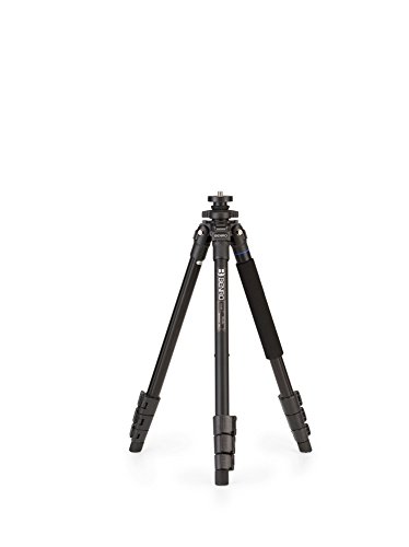 Preisvergleich Produktbild Benro TIS18A iStudio Aluminiumstativ