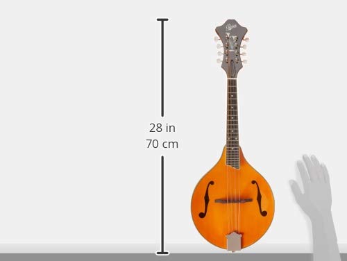 ROVER A-MODEL MANDOLIN SOLID TOP - Image 6