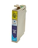 Toner Company CARTUCCIA COMPATIBILE PER EPSON T0802 CIANO C13T08024010