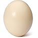Premium Ostrich Eggshell (Grade A, Large Size)
