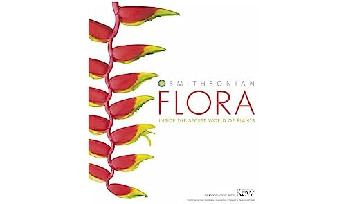 Flora: Inside the Secret World of Plants by DK
