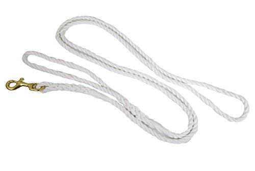 Ravenox Cotton Rope Leash Lead | 3/8-Inch X 6 Foot For Small Dogs & Pets (Snow White) | Handmade In The Usa With 100% American Made Rope | Custom Colors, Heavy Duty Hardware #TOP2