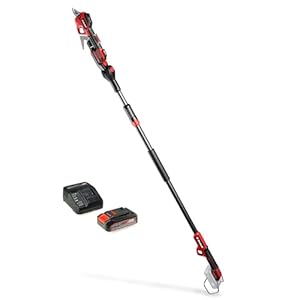 Einhell Professional Akku-Astschere GP-LS 18/28 Li T BL Power X-Change (18 V, Teleskopstiel für Arbeiten in 3,8 m Höhe, bis 28 mm Aststärke, Bypass-Klingen, inkl. 2,5 Ah Akku)