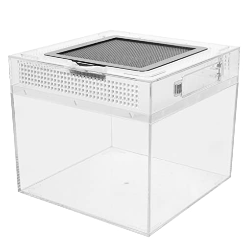PATKAW Caja De Alimentación De Acrílico para Terrario De Reptiles Tanque De Tarántula Transparente Jaula De Hábitat De Araña De Caracol Portador De Bichos Casas Transparentes para Cover