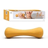 アルインコ(ALINCO) ノンスリップ ダンベル 1.0kg 1個入 滑りにくい 握りやすい トレーニング 引き締め ダイエット シェイプアップ 筋トレ エクササイズ リハビリ コンパクト 家庭用 WBF302 オレンジ