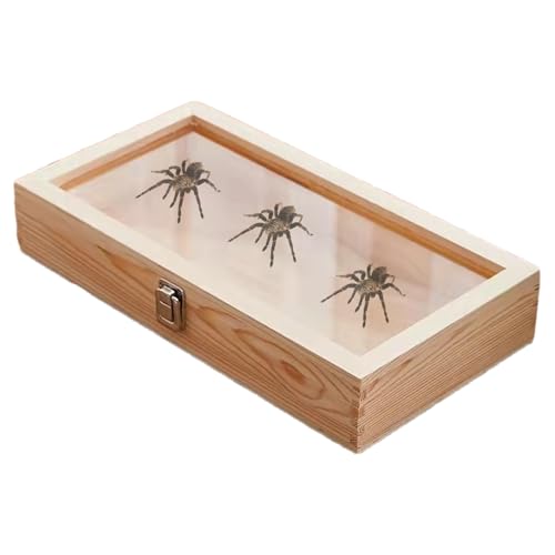 Vitrina de madera - Expositor de joyería,...