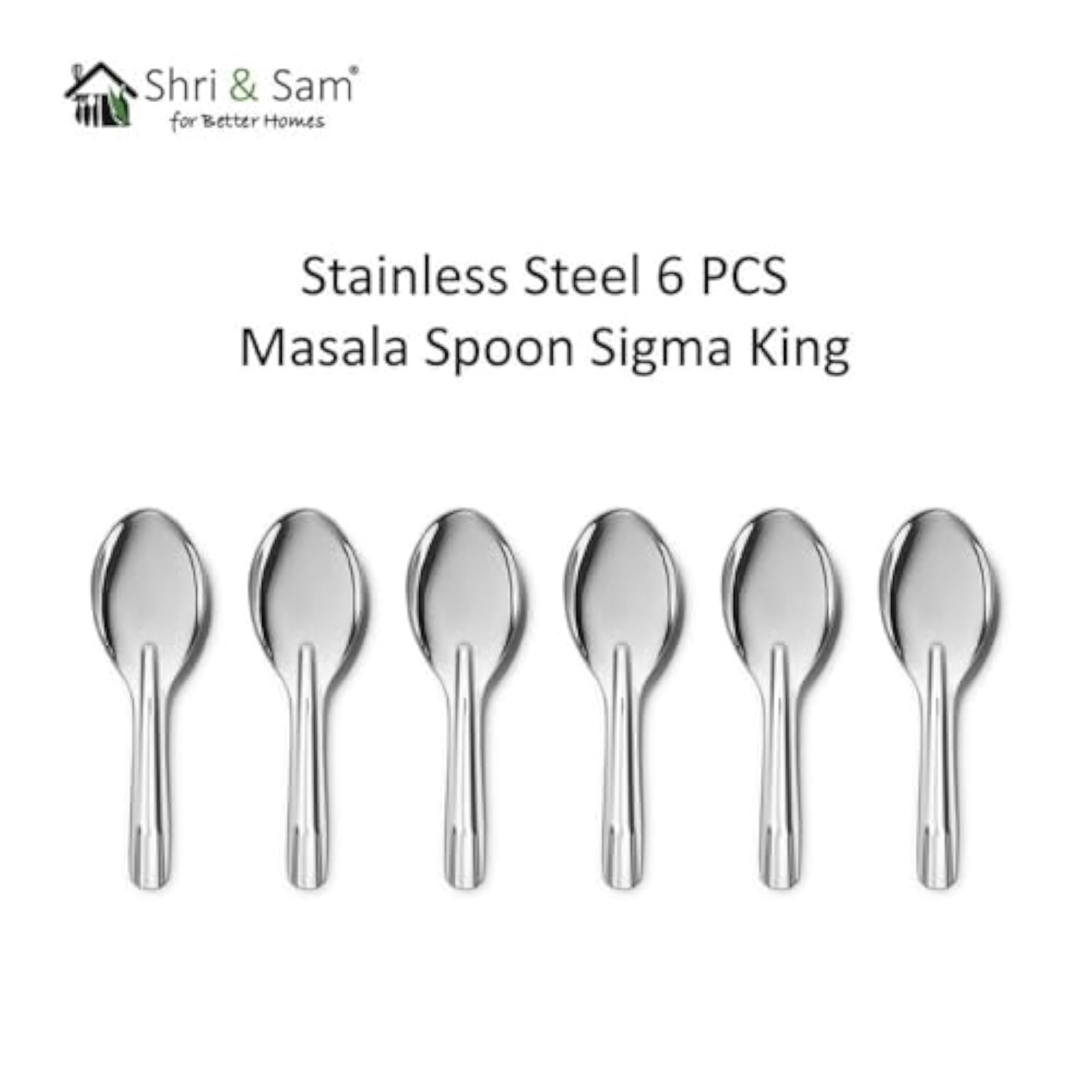 Stainless Steel 6 PCS Masala Spoon Set