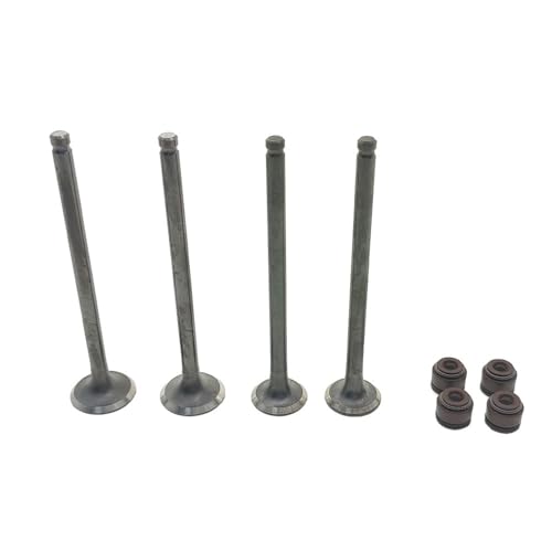 Joint d'étanchéité de tige pour stopper la fumée bleue sur Yamaha NMAX 155