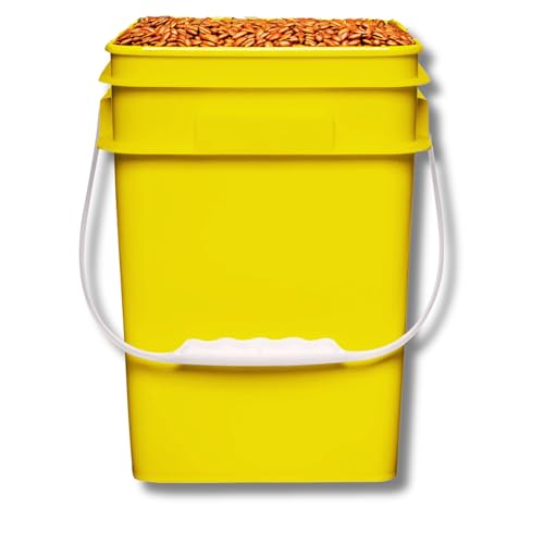 Image of House Naturals 4 Gallon Square Food Grade Bucket Pail with Plastic Handles and Lid (Pack of 3) Made in USA containers (Yellow)