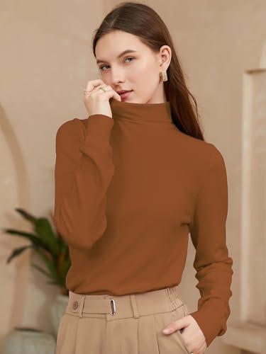 Image of DAIMIDY Turtleneck Sweaters for Women Long Sleeve Pullover Tops | Knitted Material| Soft, Warm and Breathable| High Resilience and Tensile Strength Design| Business Casual Tops| Dailywear