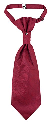 Image of Vesuvio Napoli PreTied ASCOT Solid PAISLEY Color Cravat Men's Neck Tie 21 Colors