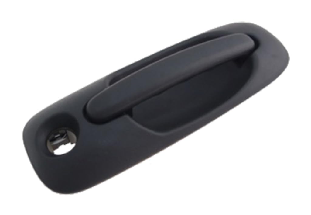 PRASCO Manecilla de puerta DG0058142 izquierda con ojo de cerradura sin cerradura sin llave Compatible con CHRYSLER VOYAGER IV RG, RS, DODGE CARAVAN RG