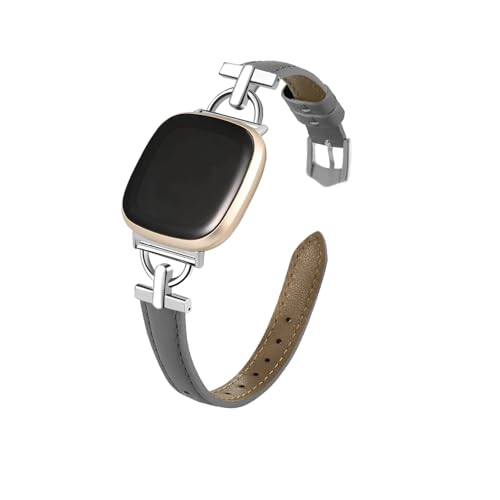 fB[XXU[XgohɓKFitbit Versa 3/Versa 4(Gray)