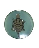 Kids Soap Clear Soap with Toy inside - Natural Soap Bar Gift Set, Face Soap or Body Soap (Paraben...