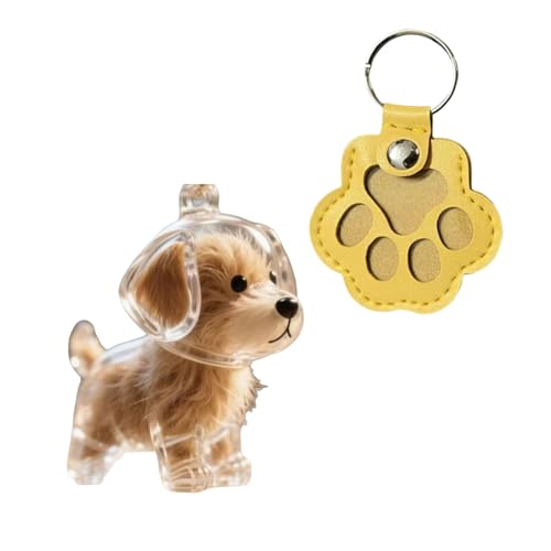 Llavero De Coleccionista De Pelo De Perro, Llavero Conmemorativo Para Mascotas, Transparent Colgante Capsule, Caja De Pelo De Mascotas, Regalos Conmemorativos Creativos Para Amantes De Los Perros
