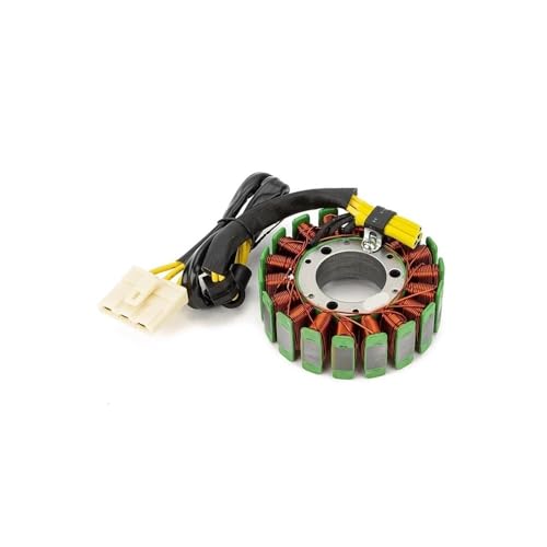 Bobinas de estator magneto para motos RC125 y D125