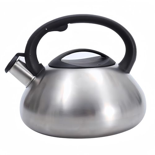 AACV 3L e XeX zCbXPg JPg KXEIHΉ 304XeX ƒp eB[|bg  R[q[Ep fUC (3L) [sAi]