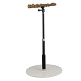 Perchoir à oiseaux jouet hauteur réglable perroquet dressage perchoir support détachable perroquet support de jeu pour perruches calopsittes conures aras pinsons inséparables