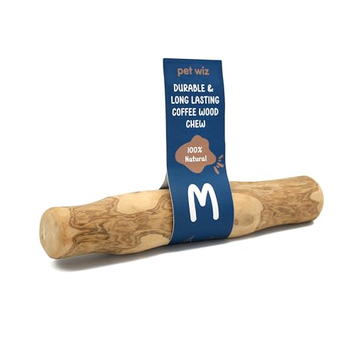 pet wiz Wood Dog Chews | Helps Oral Hygiene, Provides Mental Stimulation and Reduce Stress | Natural, Durable, and Sustainable (Medium, Coffee Wood)