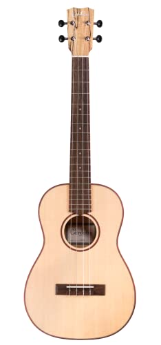 Rho 24B Xv[X og EN 24V[Y