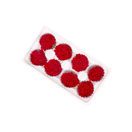 ABOOFAN 2pcs Flor Eterna Clavel Roja Secas miniatura 7