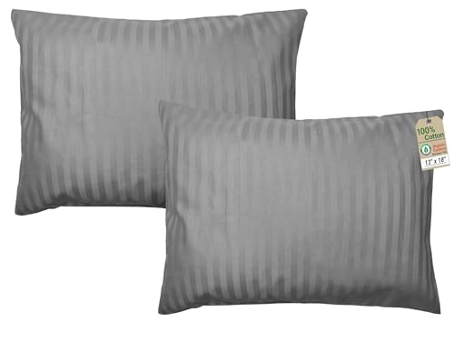 ZPECC Toddler Pillow with Pillowcase 2 Pack - 13x18 Organic Cotton Hypoallergenic Kids Pillow, Baby Essentials for Travel Crib Daycare Stroller (Intended for Age 2 and up) Grey Stripe