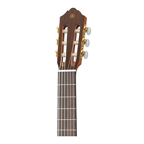 Image of Yamaha CG122MSH Classical Guitar, Solid Spruce Top