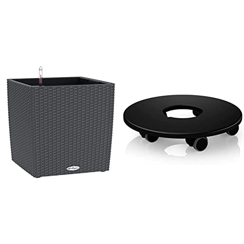 Lechuza Cube Cottage 40 Pflanzgefäß mit ERD-Bewässerungs-System, Granit, 40 x 40 x 40 cm & Rolluntersetzer für Classico 50