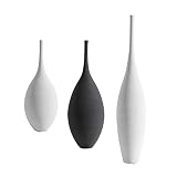 florero negro plastico Un gran regalo para mamás, familias, maestros, amigos, colegas, etc.