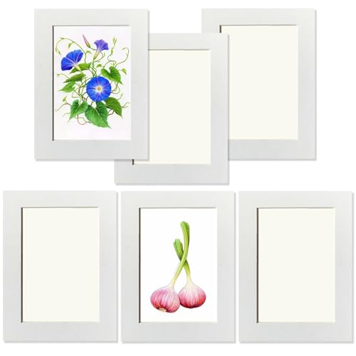 Haojiaho 子供の絵 展示用 フォトフレーム 6個セット 11.7*16.8cm 紙製 アートフレーム 【透明保護フィルム + 壁掛け用粘着シート 付き】 絵画教室 絵 展示 ペーパーフォトフレーム 超軽量 厚紙製 白 子供の 美術工房 美術展 美術研修室 教育機関 学校 幼稚園 絵画展示 壁掛け 壁額 お絵描き インテリア シンプル 写真飾り おしゃれ 額縁