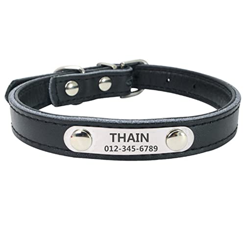 THAIN   qD v O [U[ hbO^O ybg Dt ybĝOAA捏\ x[VbN l[v[g ID^O ybg (S, )