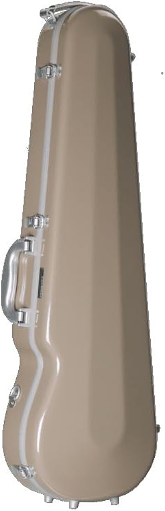 Amazon.co.jp: J.W.Eastman イーストマン バイオリンケース Standard