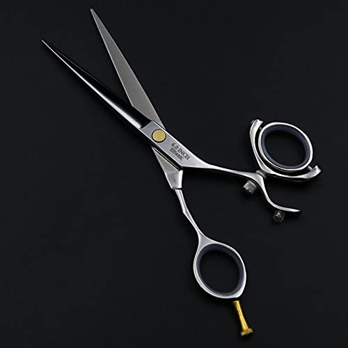 Hair Cutting Scissors, 6 inch Beauty Salon Cutting Shears Tools Barber Shop Hairdressing Scissors Styling Tools Professional Hairdressing Scissors Set BY ZZYY (Color : 1 set add case)