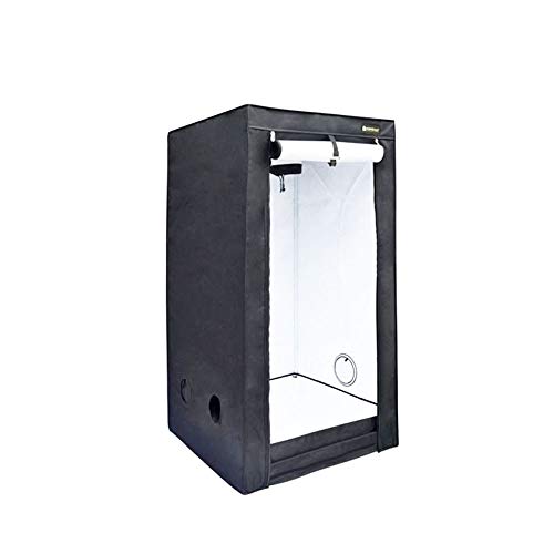 Preisvergleich Produktbild Homebox Evolution Q80 - S 80x80x160cm