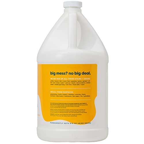 Kids 'N' Pets - Instant All-Purpose Stain & Odor Remover – 128 Fl Oz (Packaging May Vary) - Permanently Eliminates Tough Stains & Odors – Even Urine Odors - No Harsh Chemicals, Non-Toxic & Child Safe #TOP2