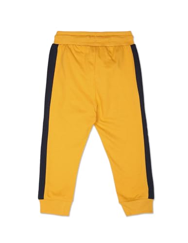 Image of U.S. POLO ASSN. Boy's Regular Pants