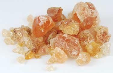 1618 Gold Home Fragrance Incense Granular Resin Arabic Gum Great Binder of Ingredients 1oz by