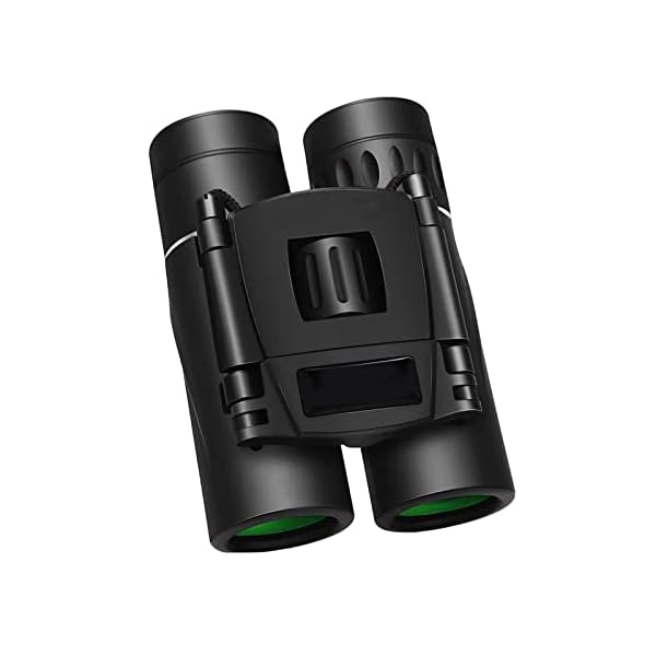 Fernglas FüR Erwachsene Kompakt Zusammenklappbar Mit Bak4 Prisma 8x21 Fernglas Klare Vogelbeobachtung FüR Kinder