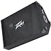 Peavey PV15M Two Way Loudspeaker Monitor